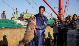 舟山吃瓜漁民事件,一場引發社會關注的海洋爭議