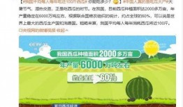 吃瓜.中國網(wǎng)站,網(wǎng)絡(luò)輿論場上的熱點追蹤與深度解析