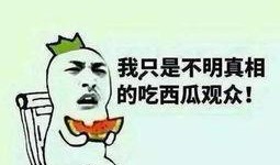 只做吃瓜群眾,吃瓜群眾視角下的娛樂圈風(fēng)云錄