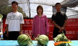 杭州吃瓜比賽,吃瓜比賽狂歡，瓜王爭霸一觸即發