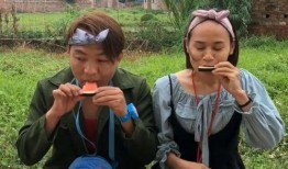 吃瓜比賽目的,吃瓜大賽，誰是瓜界王者？