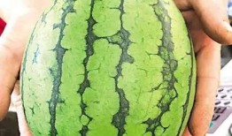 青島范思哲專柜吃瓜