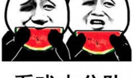 表情吃瓜的意思,揭秘網絡熱詞背后的趣味與內涵