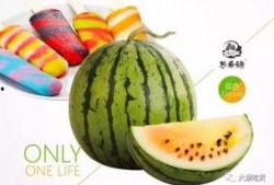 濮陽萬達吃瓜,一場吃瓜盛宴背后的故事