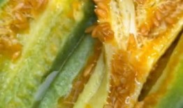 羊角蜜吃瓜視頻,揭秘網(wǎng)紅美食背后的甜蜜誘惑