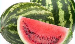 痛風可以吃翠玉瓜嗎,翠玉瓜助力健康飲食