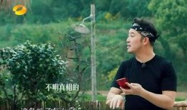 導(dǎo)演吃瓜事件真相,揭秘背后真相與爭議