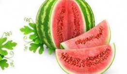 有關吃瓜的演講,一場關于網絡輿論的演講回顧