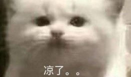 小虎吃瓜親戚,揭秘親戚間的那些事