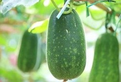 熱總吃瓜,揭秘娛樂圈幕后風云