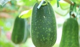 熱總吃瓜,揭秘娛樂圈幕后風云