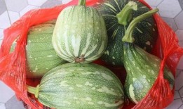 云瓜能曬干吃嗎怎么吃,探索美味曬干云瓜的多樣吃法