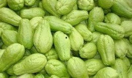 吃瓜臉癢,背后的原因與應對策略