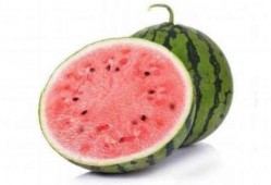 吃麒麟瓜是什么梗,網(wǎng)絡(luò)熱梗背后的美食傳奇