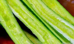 云瓜能曬干吃嗎怎么吃,探索美味曬干云瓜的多樣吃法