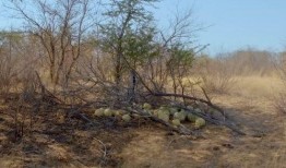 大型吃瓜現(xiàn)場(chǎng)搞笑,笑料橫飛，笑不活了！