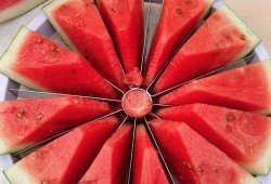 杭州吃瓜比賽,吃瓜比賽狂歡，瓜王爭霸一觸即發