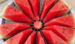 杭州吃瓜比賽,吃瓜比賽狂歡，瓜王爭霸一觸即發