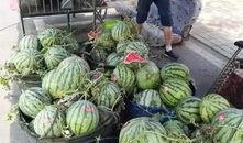 孝感乾坤吃瓜事件,一場網絡熱議的真相探尋之旅