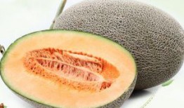 endro吃哈密瓜,Endro與哈密瓜的甜蜜邂逅