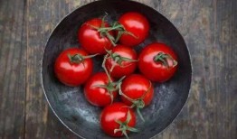 吃番茄可以吃茄瓜嗎,同源美味，能否共享餐桌？