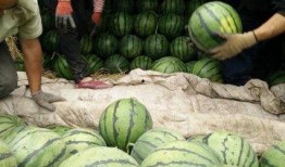 學(xué)校近期熱門吃瓜事件