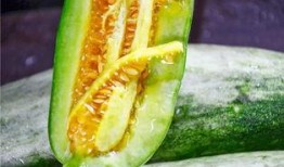 哪個網紅吃瓜,一場娛樂圈的狂歡盛宴