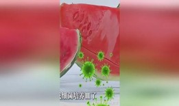 吃瓜影響大便嗎,揭秘日常飲食對腸道健康的影響