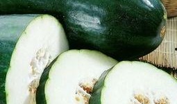 二瓜吃瓜瓜,一場(chǎng)別開(kāi)生面的瓜界盛宴