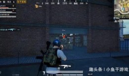 吃瓜電梯戰(zhàn)神,揭秘網(wǎng)絡(luò)紅人的崛起之路