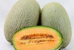 月子可以吃哈密瓜嘛,月子期間適宜食用哈密瓜嗎？