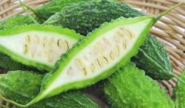 安中醫(yī)吃瓜視頻,揭秘校園生活趣味瞬間