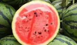 西瓜你吃瓜了嗎,你吃瓜了嗎？