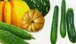 黃玉瓜怎么吃,探索美味與營養的完美結合