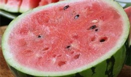 吃麒麟瓜是什么梗,網絡熱梗背后的美食傳奇