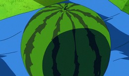 風兒吃瓜,夏日里的悠閑時光