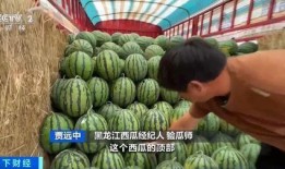 香吃瓜主播,揭秘娛樂圈幕后故事，帶你領(lǐng)略明星真實生活