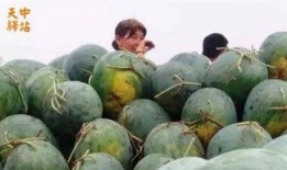 介休吃瓜現場視頻