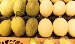 公司吃西瓜哈密瓜,公司共享哈密瓜與西瓜的美好時光