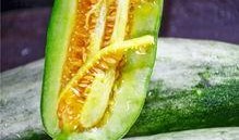 羊角蜜吃瓜視頻,揭秘網(wǎng)紅美食背后的甜蜜誘惑