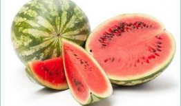 孕期可以吃小瓜,小瓜的營養(yǎng)與食用指南