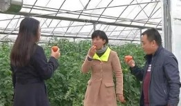 吃瓜群眾圍觀打小三,小三風波引發全民熱議