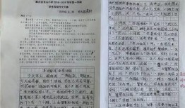 吃瓜風(fēng)波作文四年級(jí),一場(chǎng)四年級(jí)的誤會(huì)大揭秘