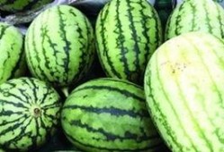 如何精準快速吃瓜,揭秘精準快速吃瓜攻略