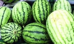 如何精準快速吃瓜,揭秘精準快速吃瓜攻略