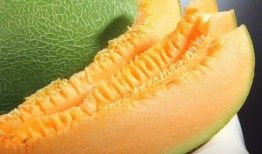 吃蜜瓜的照片,夏日甜蜜時光的定格