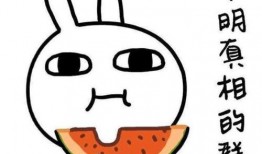 抄作業(yè)帶你吃瓜,揭秘校園里的那些“瓜”