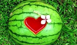 夢見別人吃瓜比賽,一場別開生面的吃瓜大賽