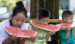 6號(hào)棋牌吃瓜,吃瓜群眾揭秘幕后真相