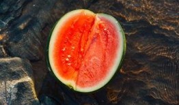 吃瓜伊人,揭秘娛樂圈背后的真實故事